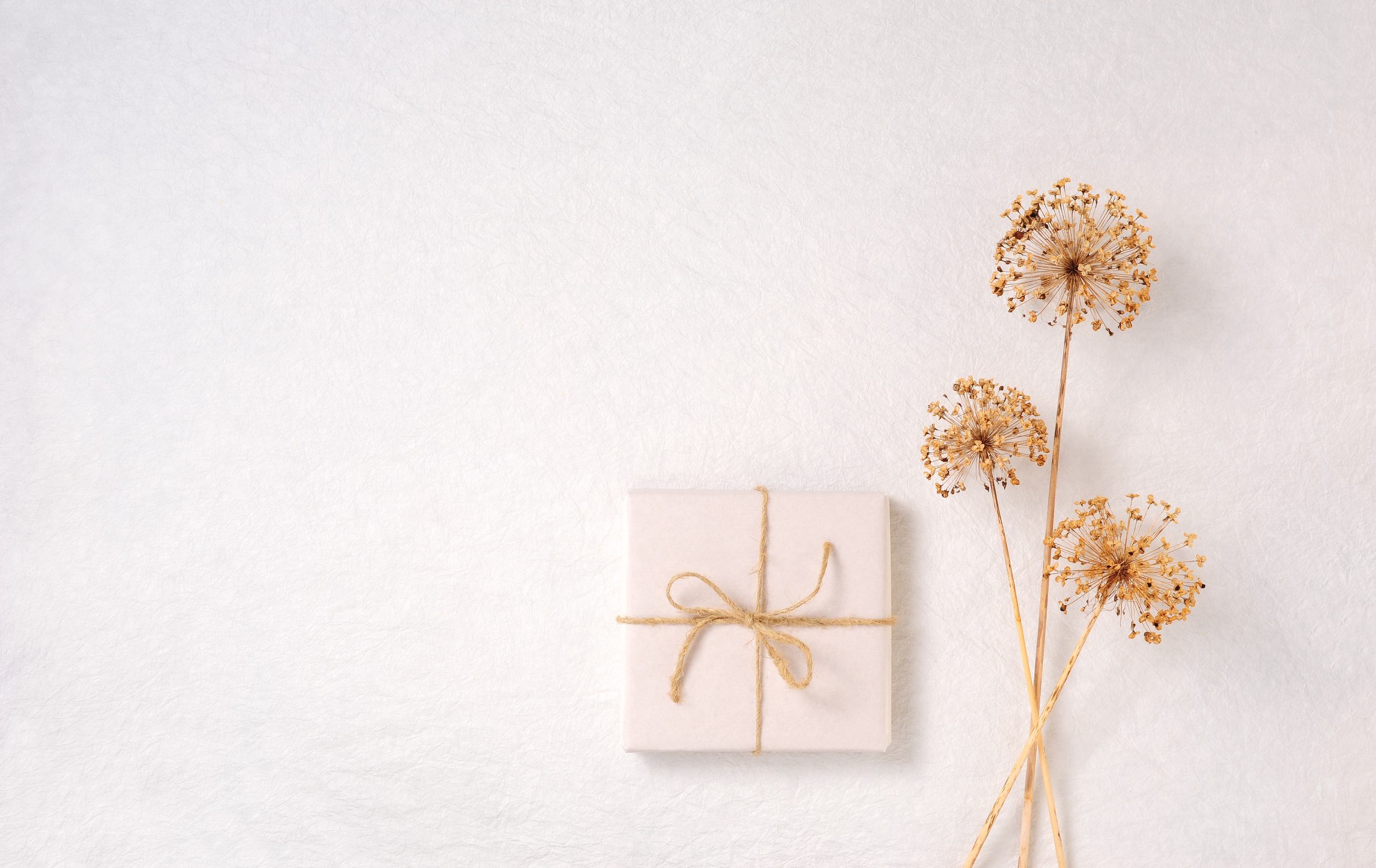 Gift wrap, dried allium over white